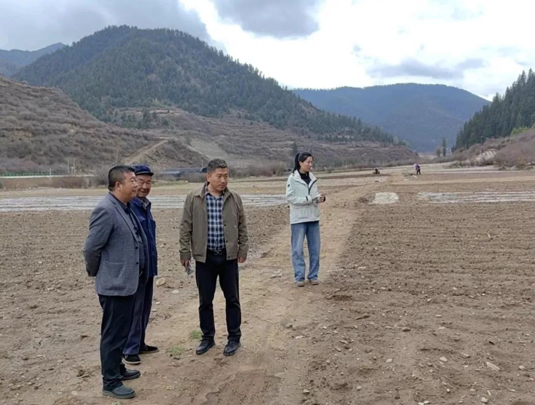 省市场监管局驻卓尼县木耳镇出纳村工作队调解矛盾纠纷获好评