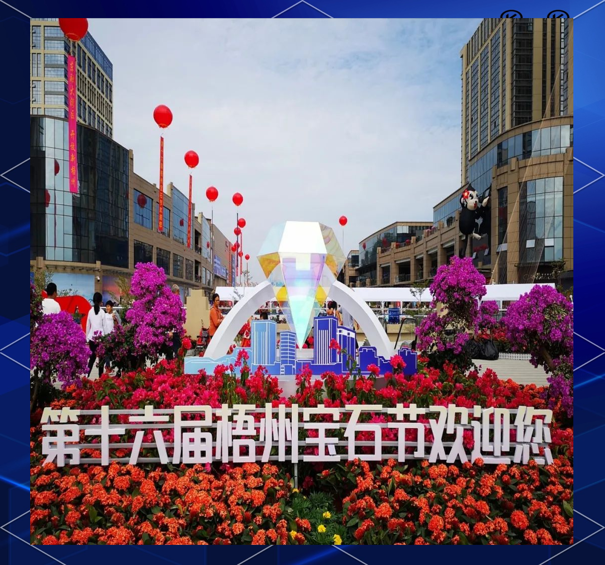 梧州宝石文化博物馆(梧州宝石文化博物馆在哪里) 第2张