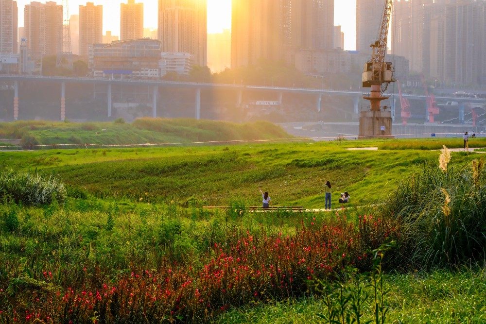 雅巴洞湿地公园图片