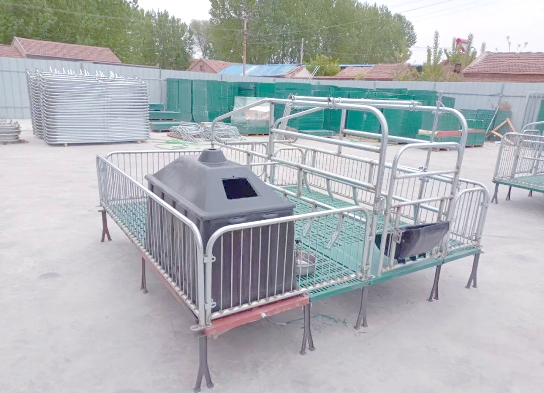 母猪产床产品全面介绍:选对了吗?