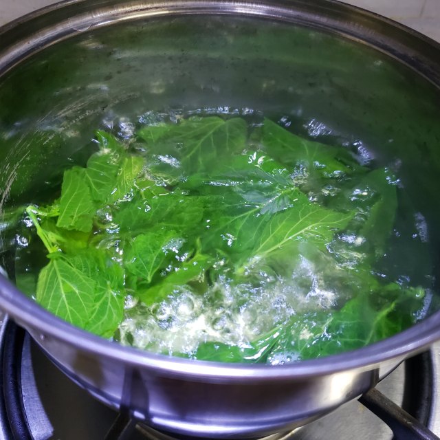 桑叶豆腐汤,清淡可口,即健康又营养快手汤