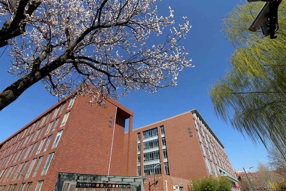 欢迎报考!首都经济贸易大学2024年第二学士学位招生简章