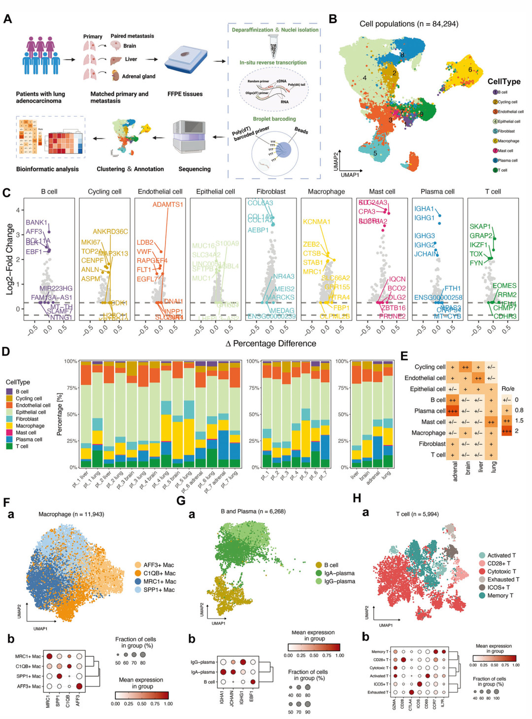 advanced science丨科研人员利用vita平台揭示肺腺癌器官特异性肿瘤微