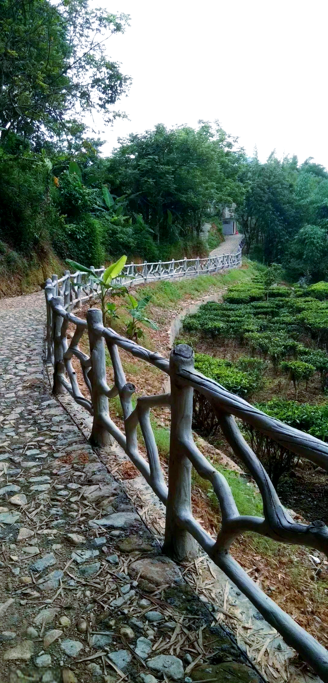 仿木栏杆的多样美与实用特点