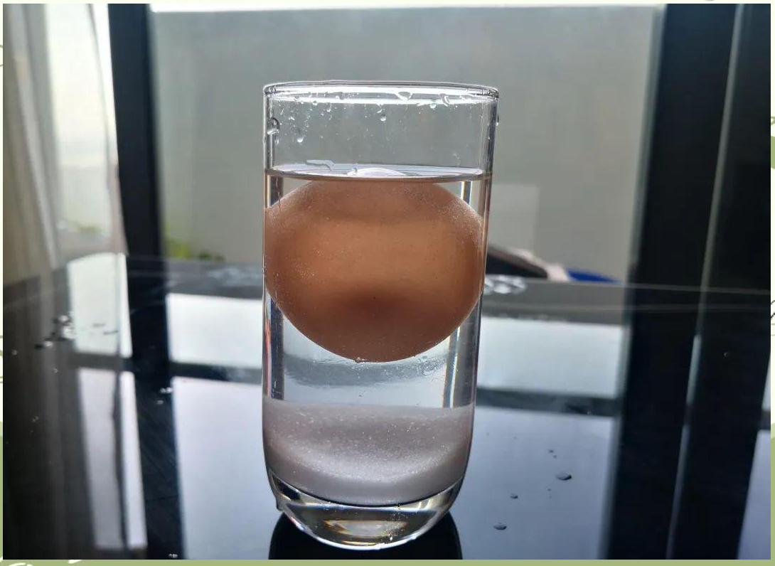 鸡蛋在盐水中的浮力解析