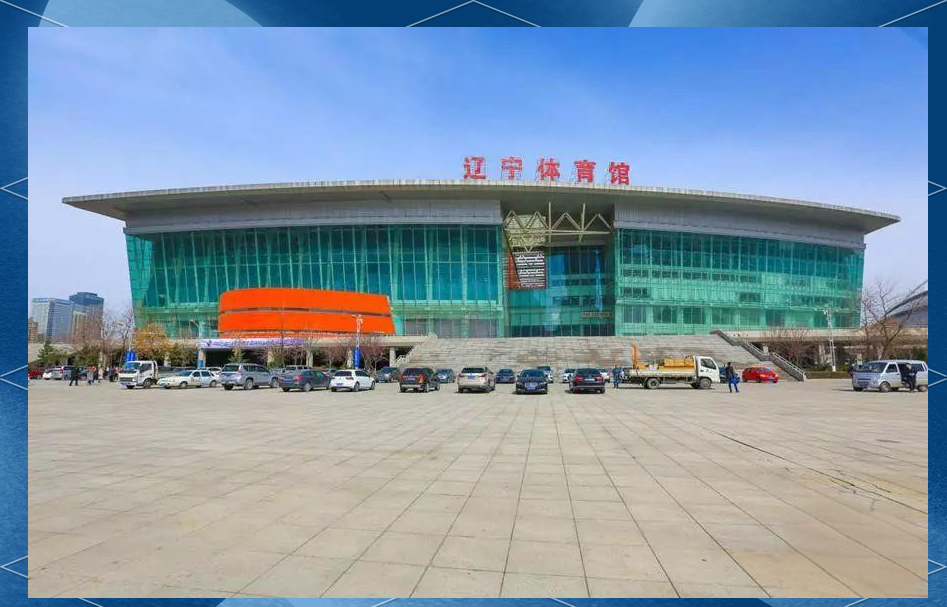 辽宁体育馆观赛指南:从停车到入场的完整流程