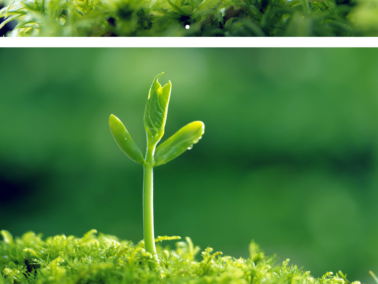 护士护理护士长竞聘述职ppt模板百度网盘