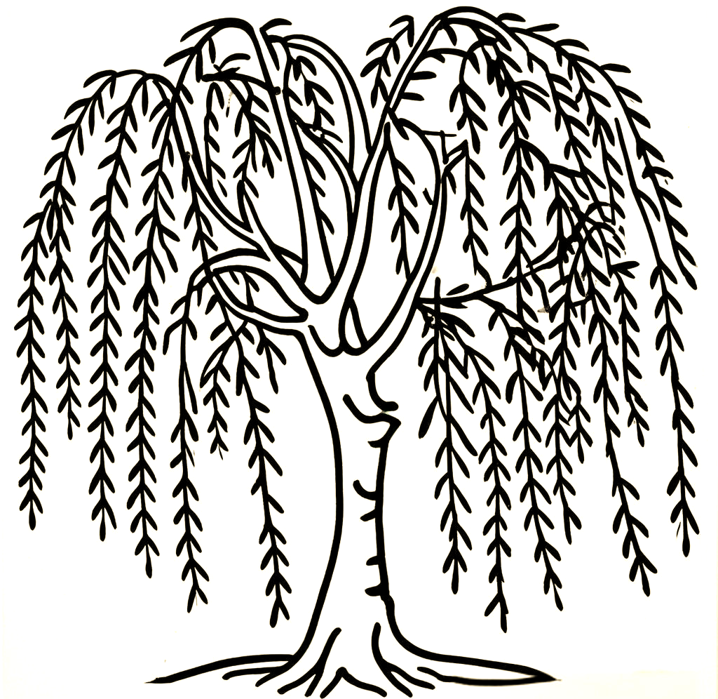 柳树线描的独特技法与技巧