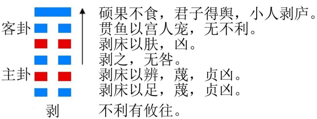 十二生肖的运势与禁忌(十二生肖运势详解综述)