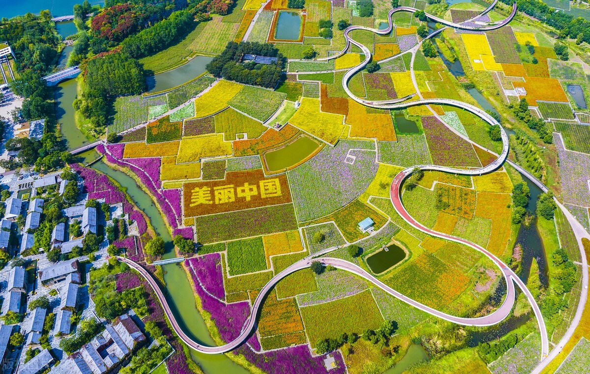 江苏宿迁:衲田花海绽放美丽中国