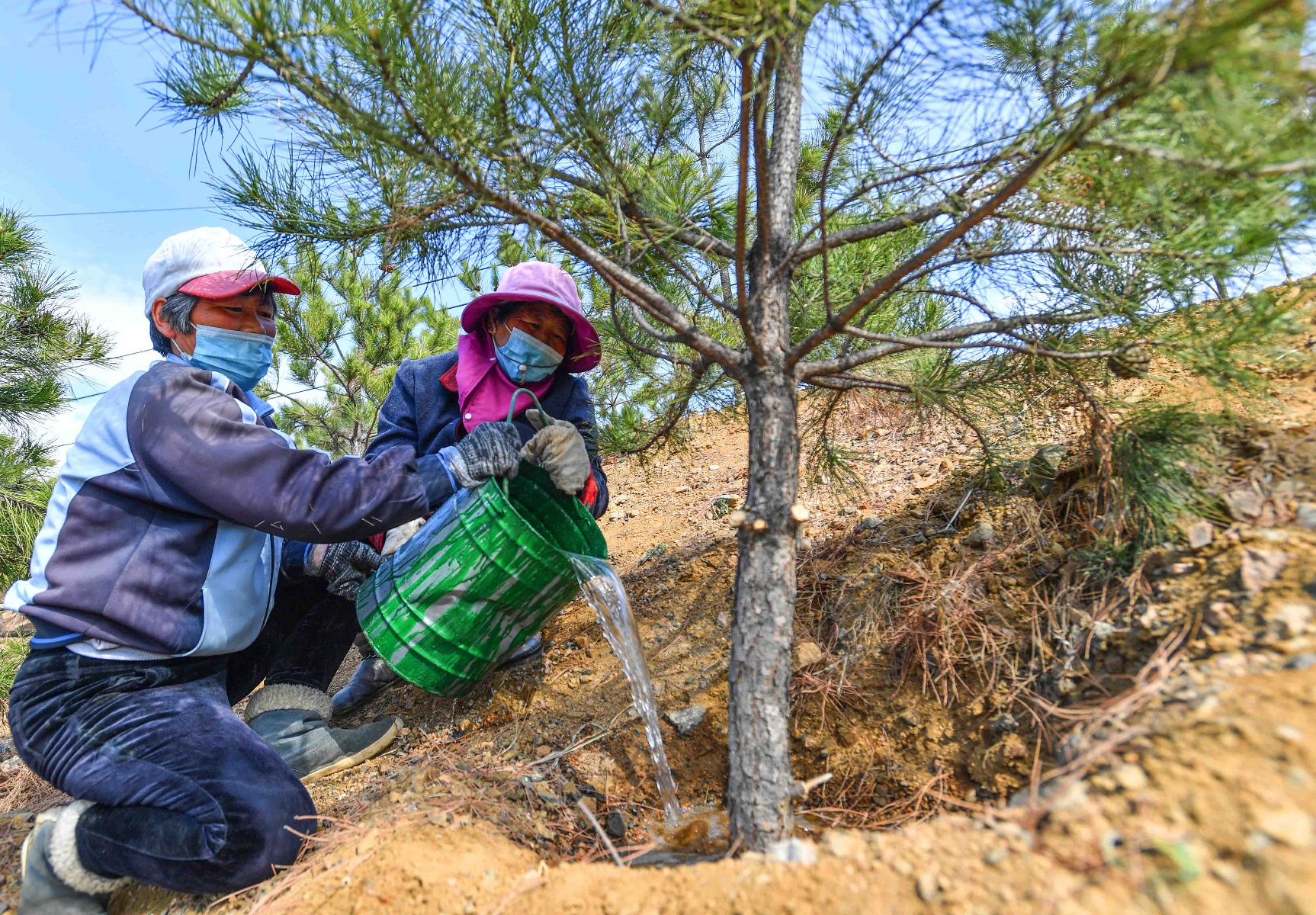 「"中国银行杯"全国经济新闻摄影作品」植树造林 绿满山川