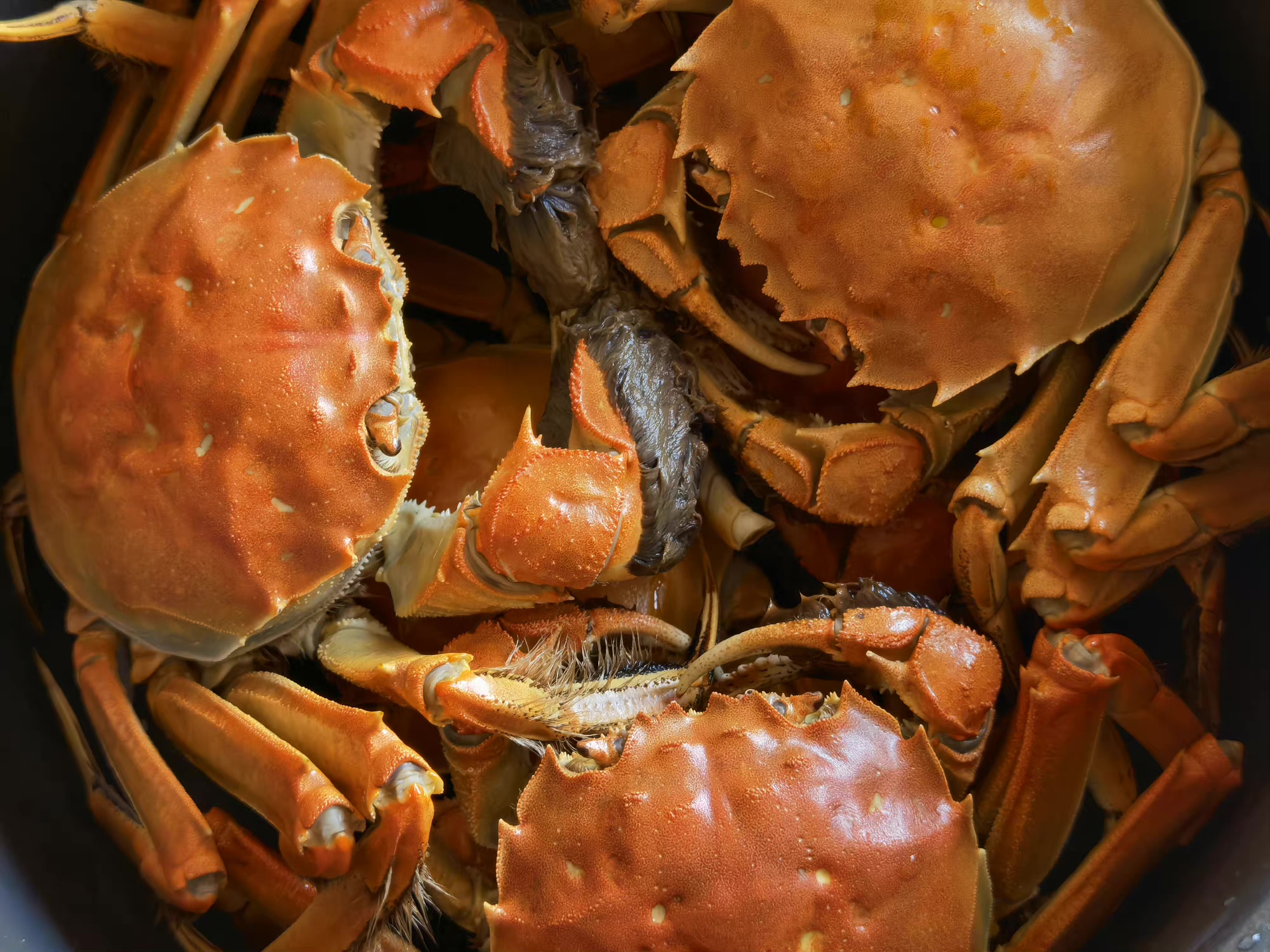 11月要吃公蟹,更鲜美!