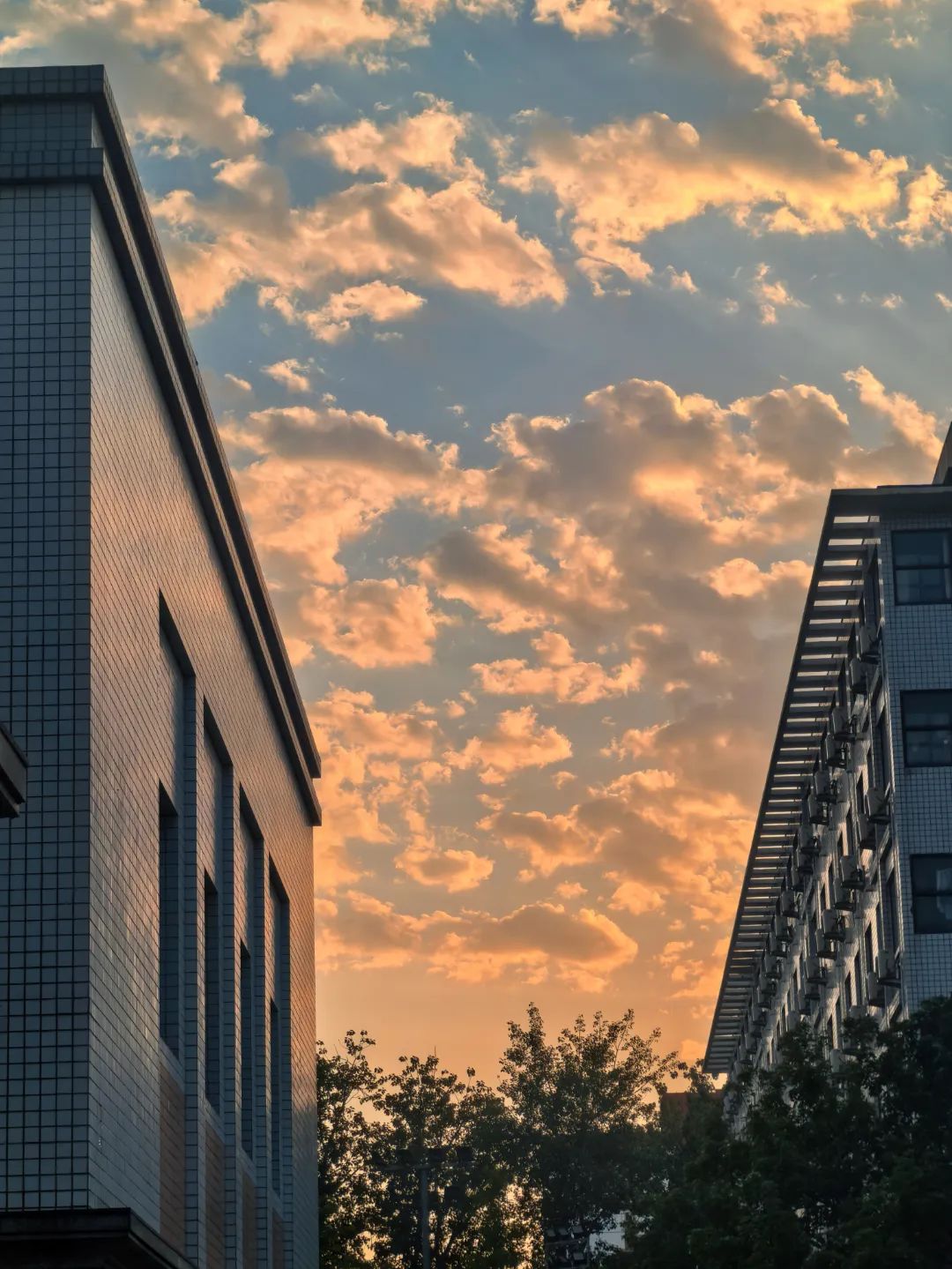 undefined 王昱祺摄-71.jpg