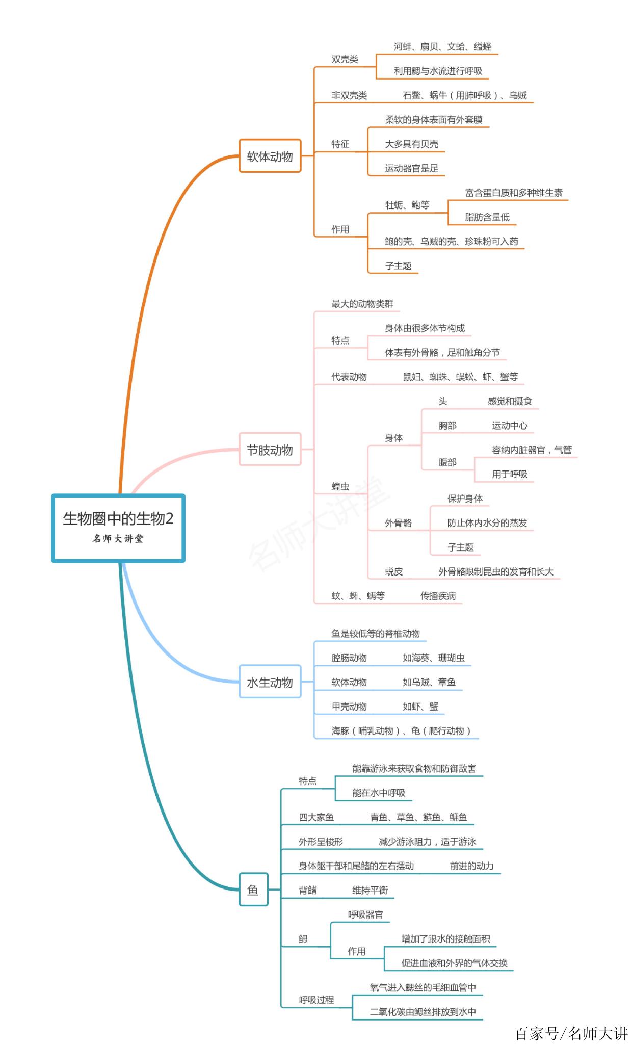 生物老師:收好八年級生物學習技巧與思維導圖,從此生物不難記!