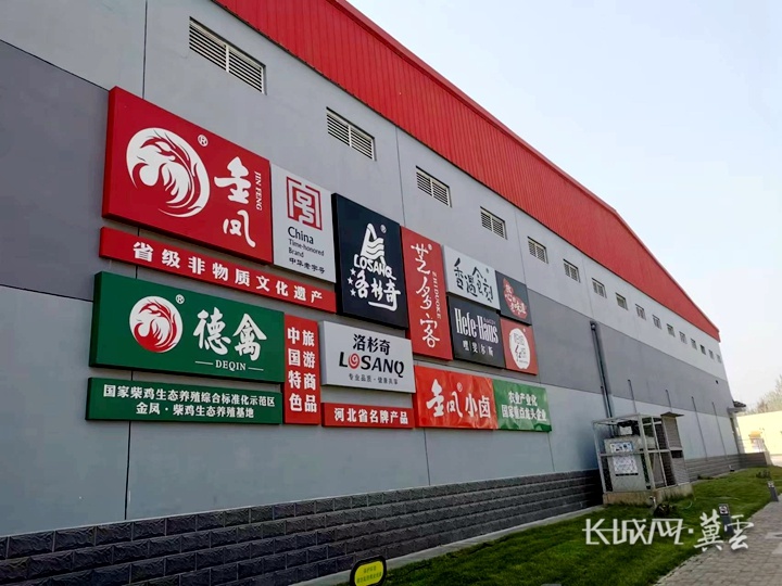 老字号"破圈"|金凤扒鸡:百年老店正青春