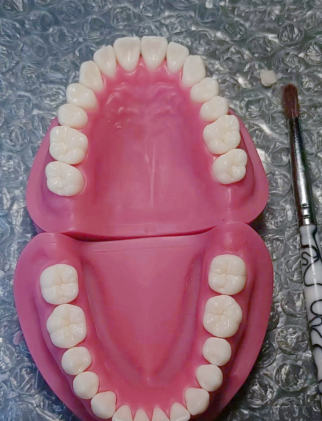 (小王先生的多样化手工牙齿模型)探索形态的完美之道