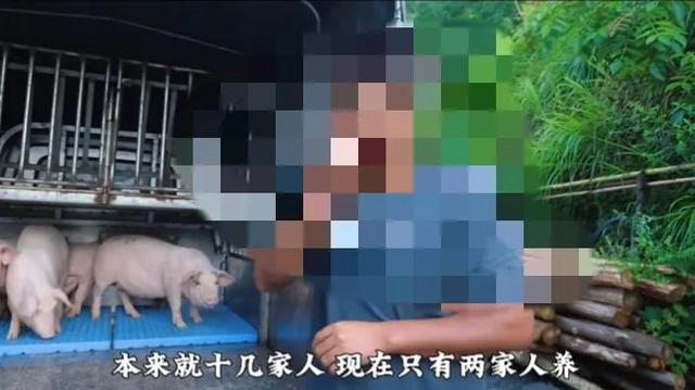 湘西冬宝:整个寨子只剩下两家人养猪.农村养猪户注定被淘汰?