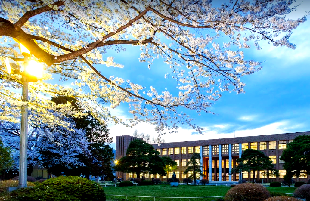 2019日本大学排名与名校风采全景