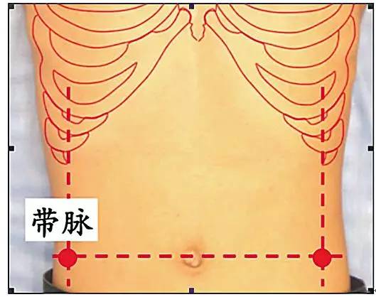 背诊 从后背看健康