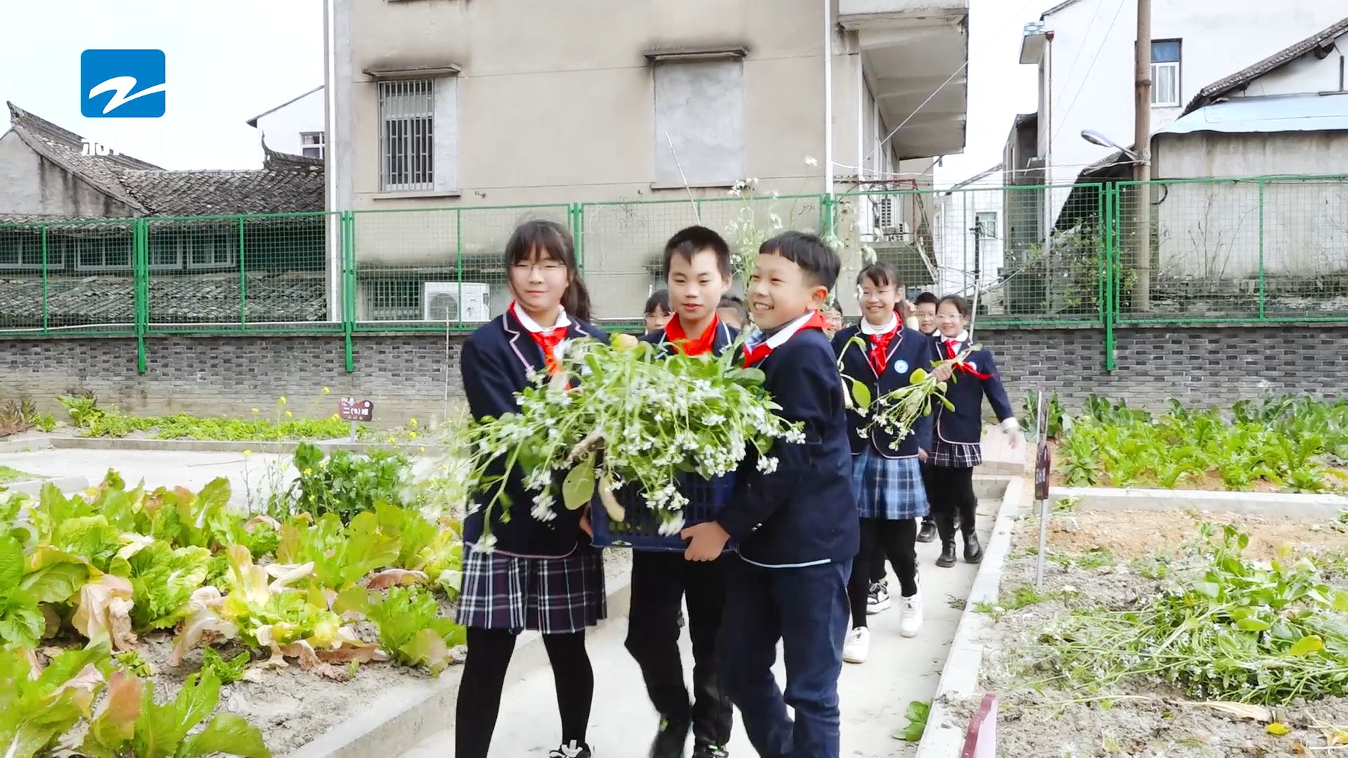 温岭市新河小学图片