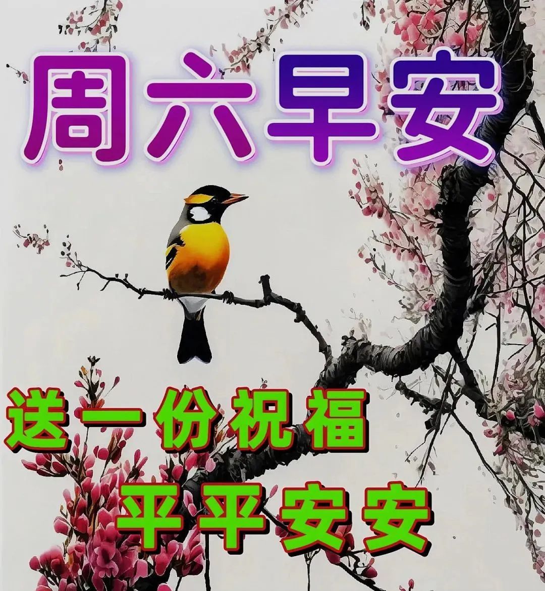 4月29日周六早上好,温馨唯美祝福语图片
