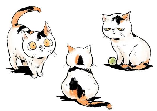 我们给故宫的猫做了本书