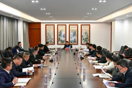 李松殿主持召开新建区委专题会议 聚焦"三大行动"工作部署