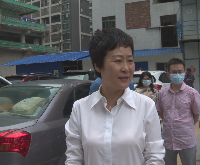 罗海俊调研重点项目工作 督导检查挂点联系镇创文工作