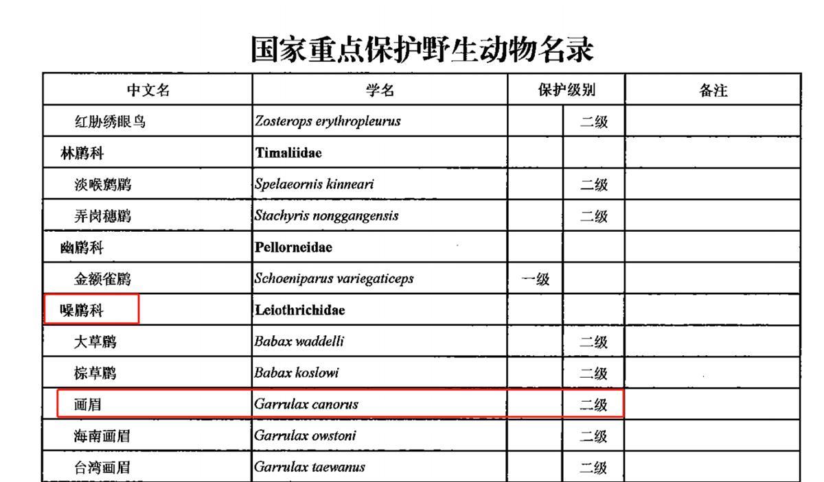 国家二级保护鸟类名单图片