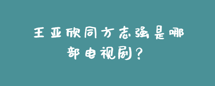 王亚欣同方志强是哪部电视剧?