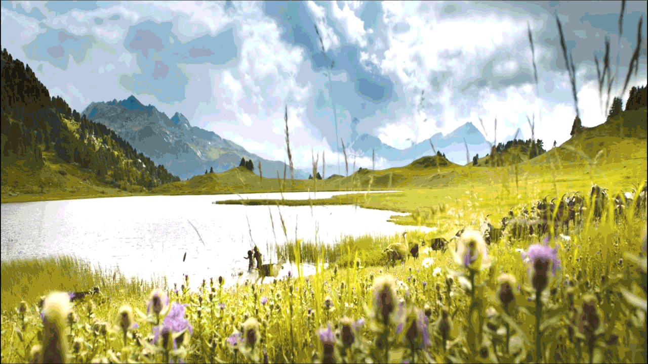 《海蒂和爷爷》:孩子的隐忍能否被看见将决定他一生的