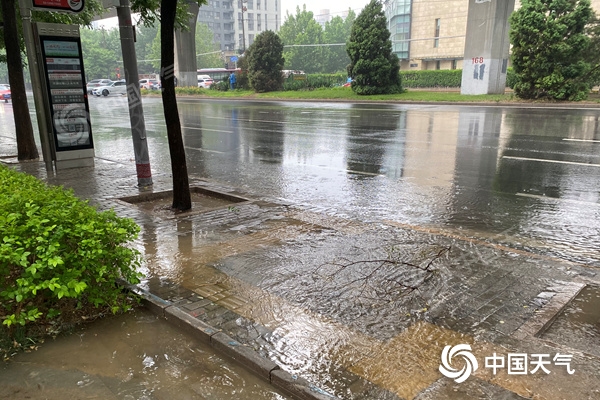 中雨 天气图片