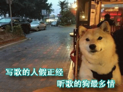 中秋,又到了逗逼网友展现才情的时候了!