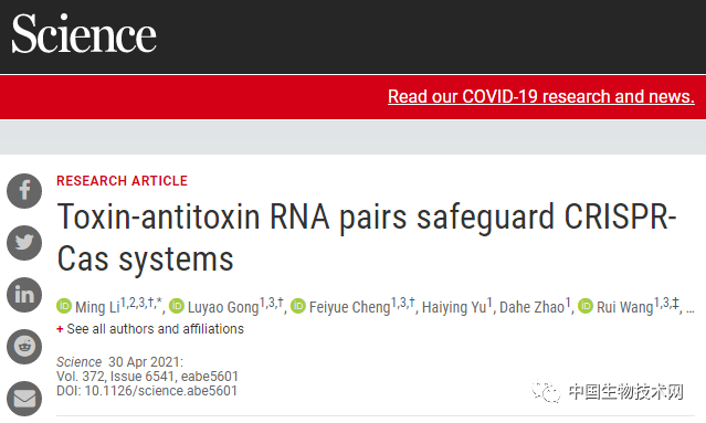 保护微生物"基因剪刀"的"暗物质"找到了