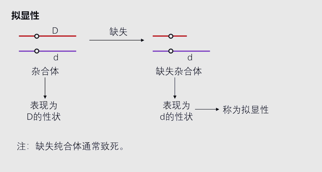 染色体变异:缺失、重复、易位与倒位的深入探讨