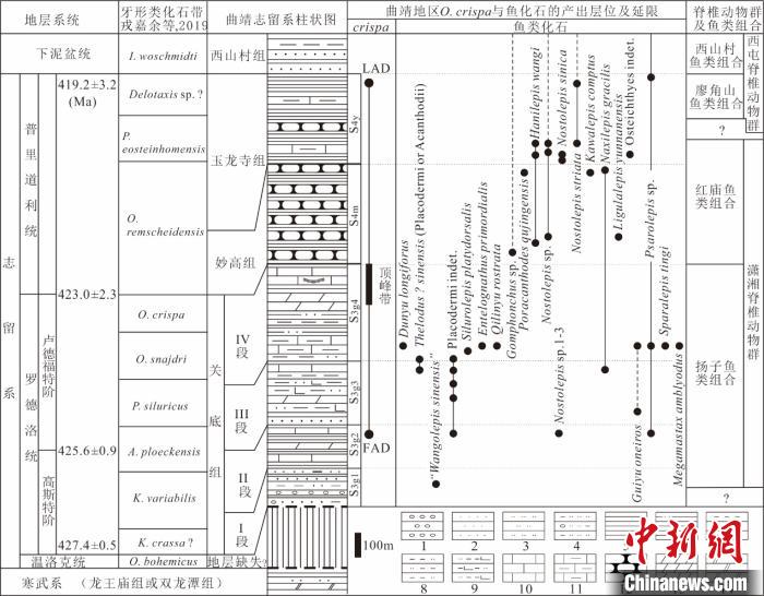 中国科学家对鱼的故乡古鱼化石及地层普查研究获系列进展