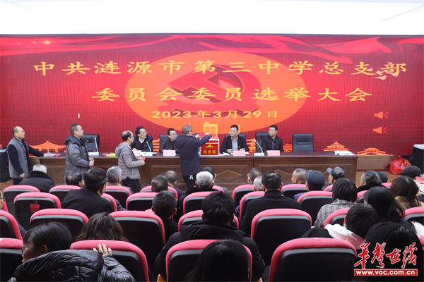 涟源三中召开党总支成立大会