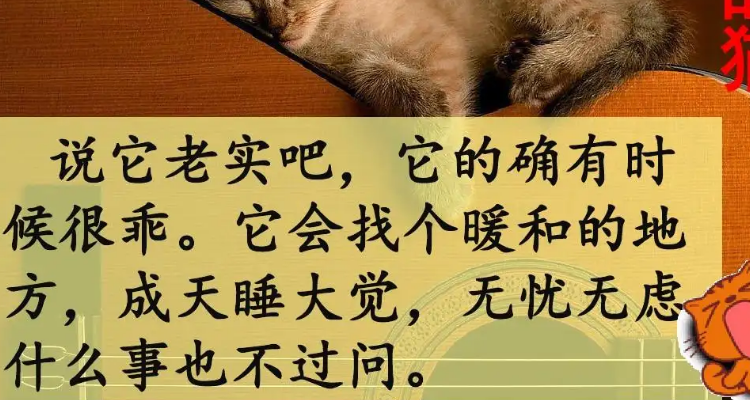 说他什么吧的确可是写一句话
