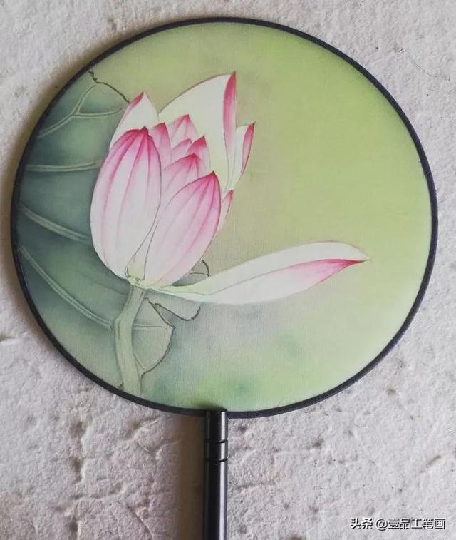 团扇《荷花豆娘》工笔绘制示范