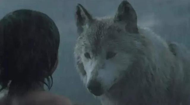 中国偏远地区的狼孩现象