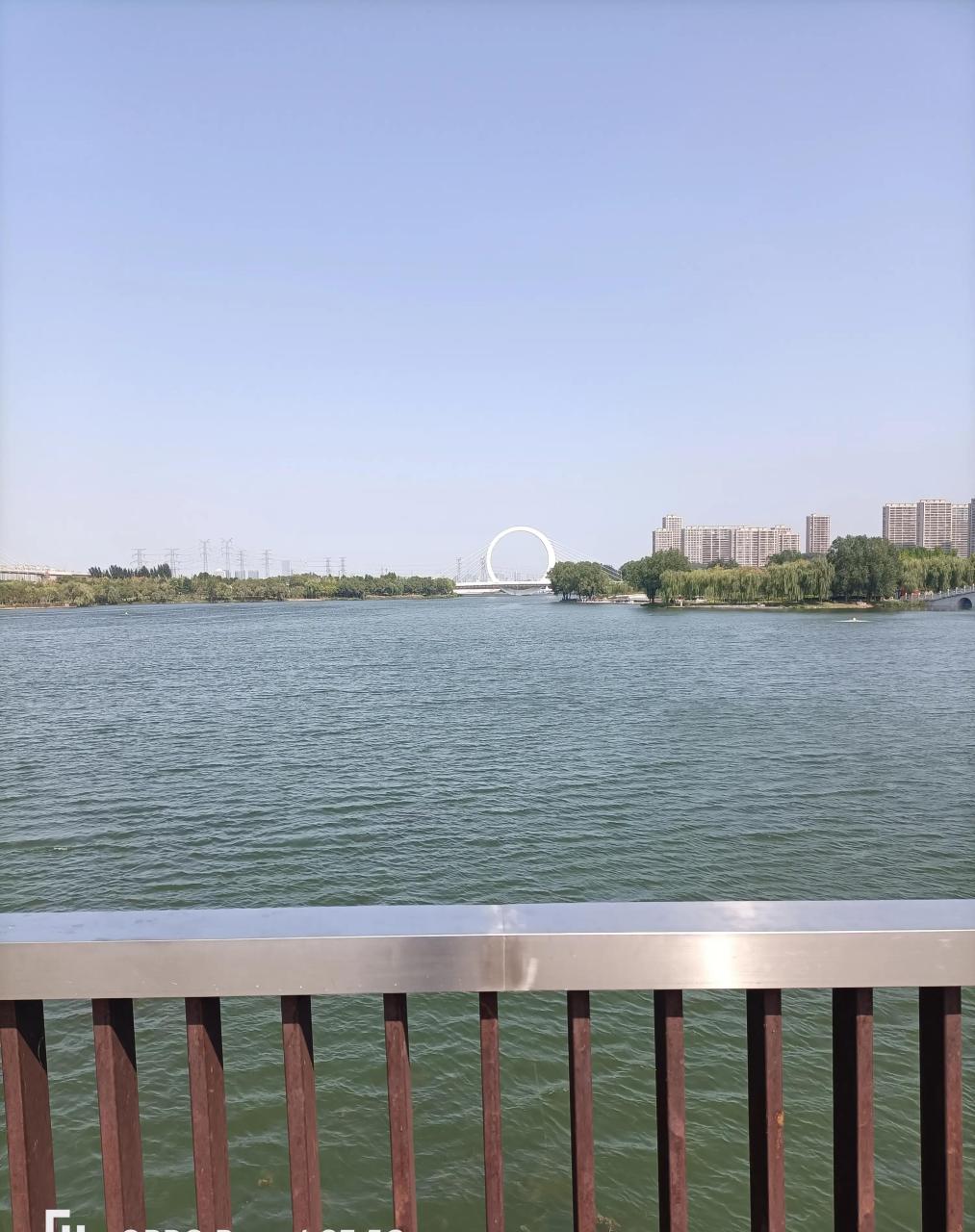 网上说的郑州网红打卡地——蝶湖公园,我国庆假日我去体验了一下,还真