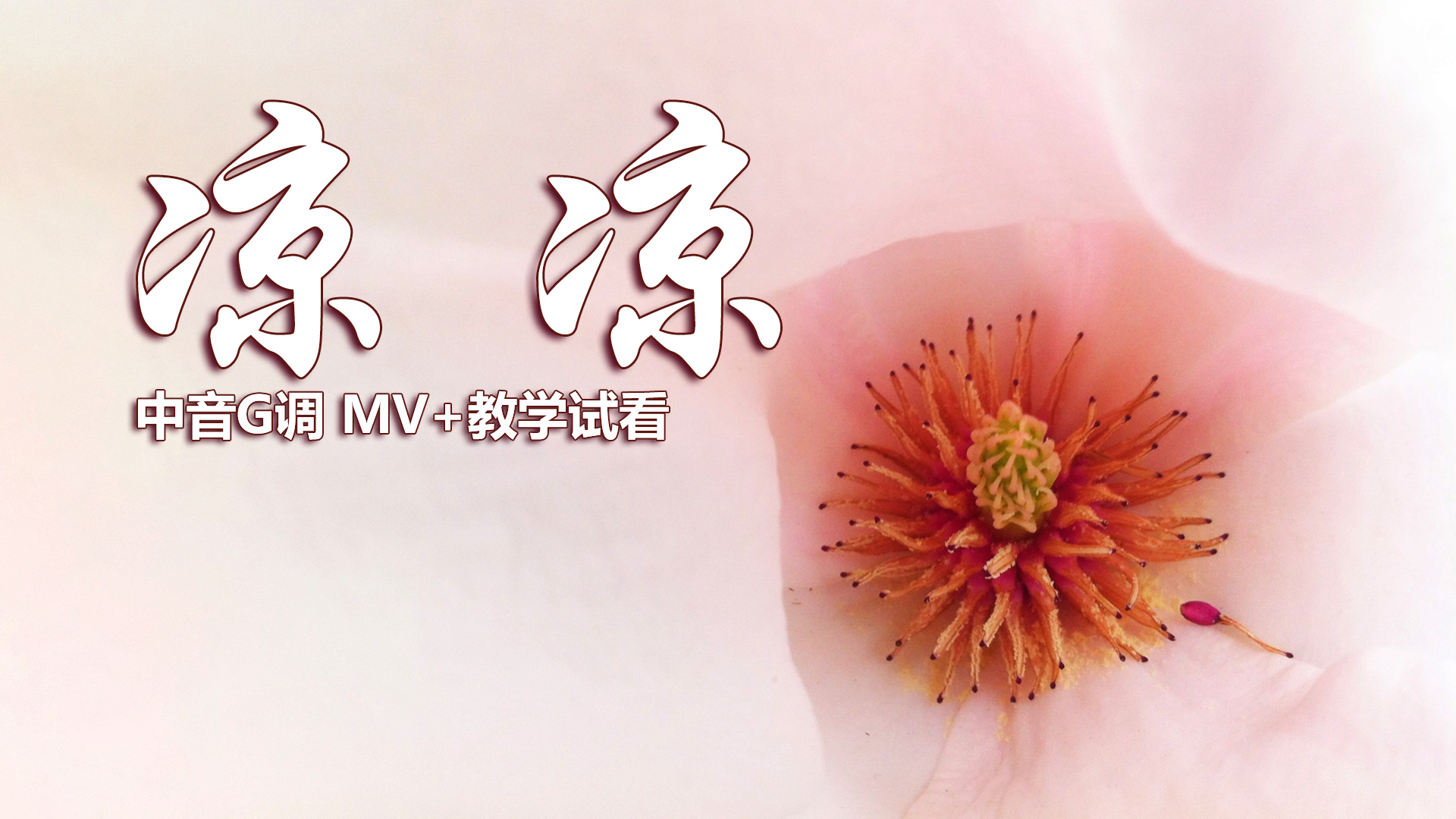 流行歌曲《凉凉》,萨克斯演奏,简谱逐句教学示范!