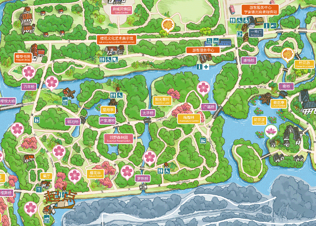 宝山顾村公园邀你共赏荷花