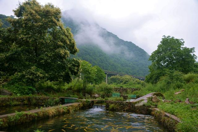 七律行游东岔镇桃花坪村