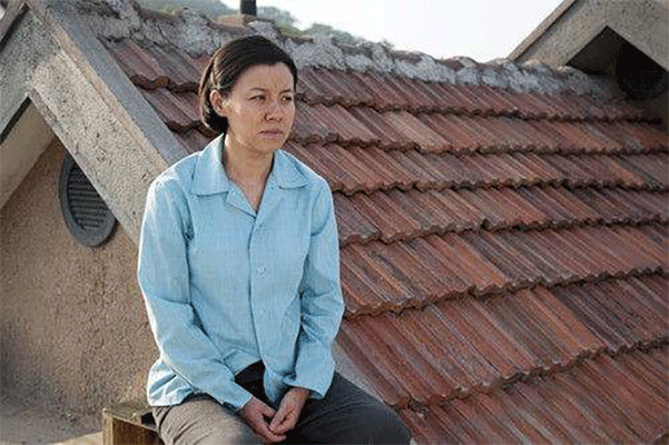 刘琳儿子长大了7岁帅气可爱和梅婷女儿是好友