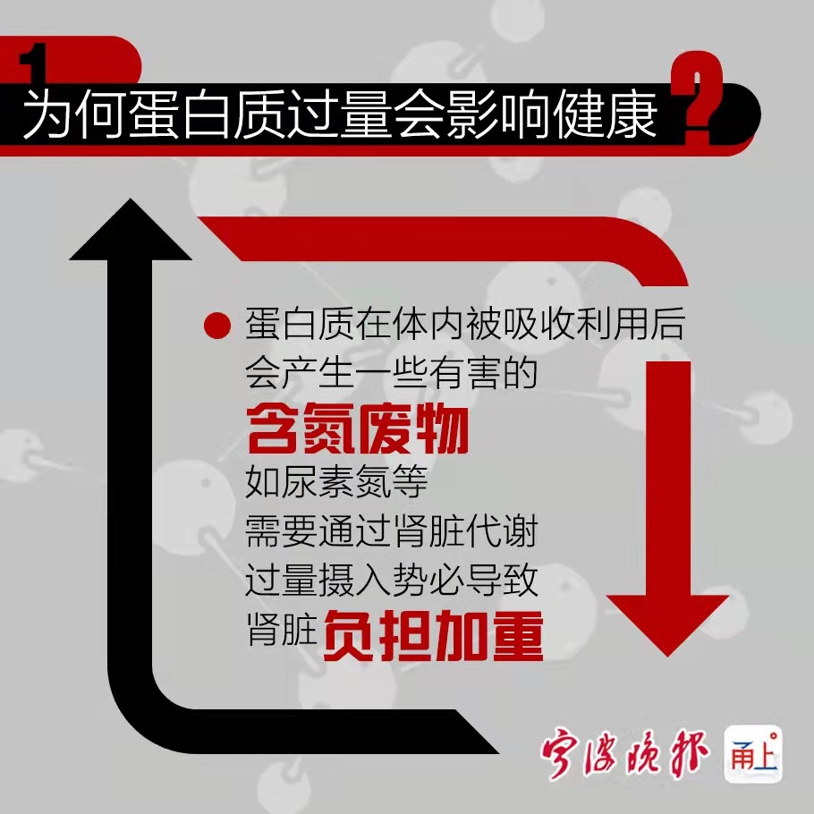 一图读懂|长期过量补充蛋白质健身?当心惹上"沉默杀手"——慢性肾炎