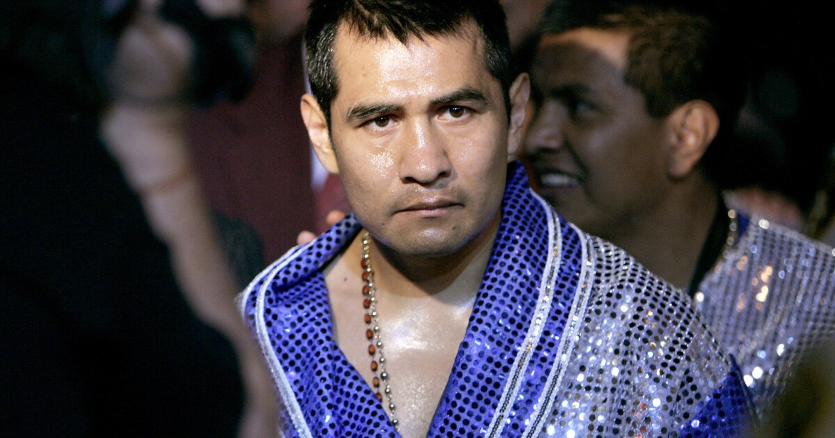 传奇拳王巴雷拉:阿瓦雷兹将以ko的方式,结束与戈洛夫金的争端