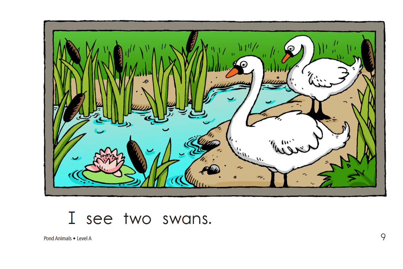 aj学 raz 英文分级阅读 level a 001 pond animals