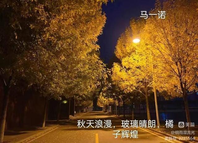 濮阳县第二高级中学图片