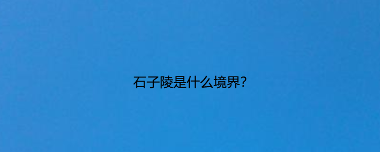 石子陵是什么境界?